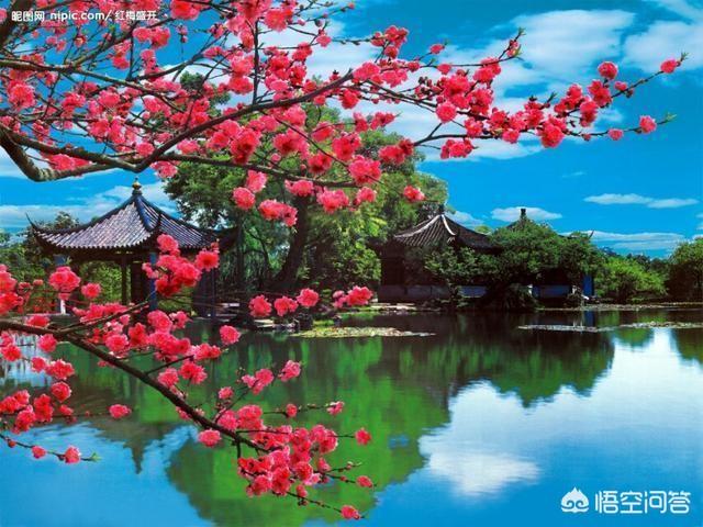 适合加名字的网名:我想起个网名，叫什么好？