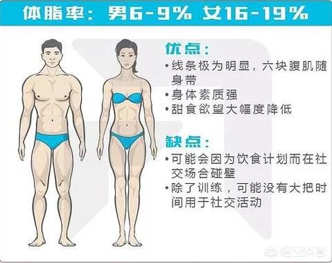 头条问答 体脂要到达多少才能露出腹肌 十月知行的回答 0赞