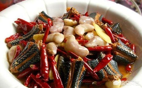 中华眼镜蛇药用价值:中华眼镜蛇图片 为什么说蛇肉鲜美，吃蛇肉都有哪些好处？