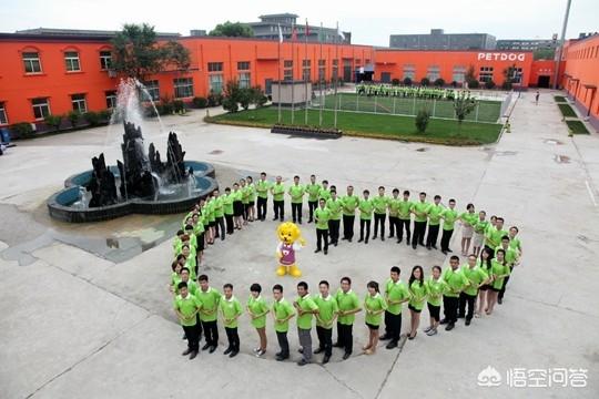 b级宠物美容师培训费用:宠物美容师宠物美容培训费用 学习宠物美容师大概要多少钱？