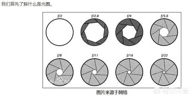 蓝脚鲣鸟 笨鸟:单反手动M档的优势是什么？