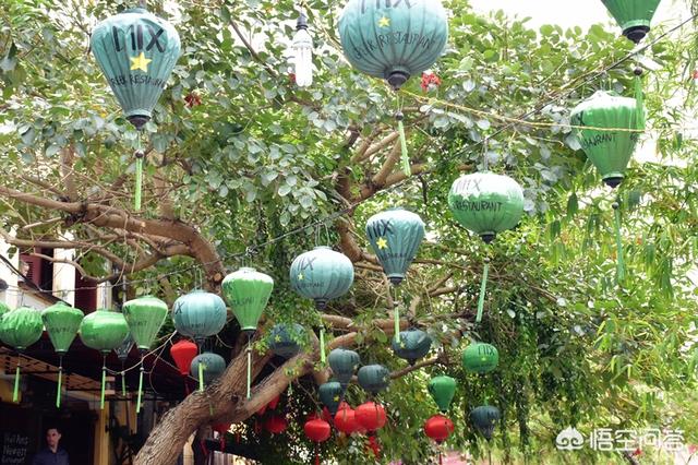 xishiroux:能从宠物上看出主人的性格吗？