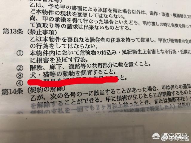 养狗十戒 日本:如何看待日本要求所有宠物都需要植入芯片？