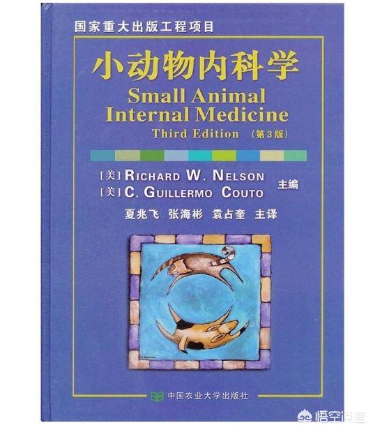 宠物医疗知识点:一名好的宠物医生需要掌握哪些知识？