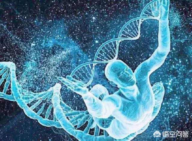 北极熊克努特的谜:关于北极熊，有哪些冷知识？