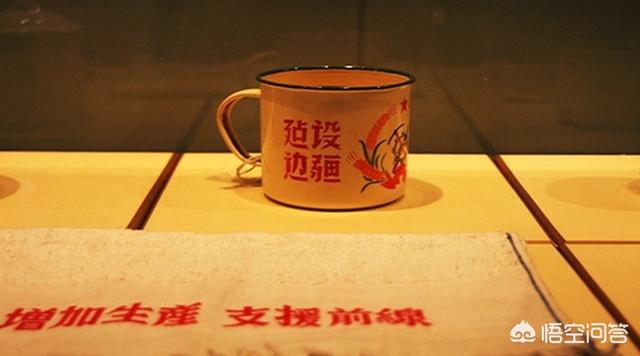 新疆现长耳跳鼠:有哪些动物快要灭绝了，为什么？