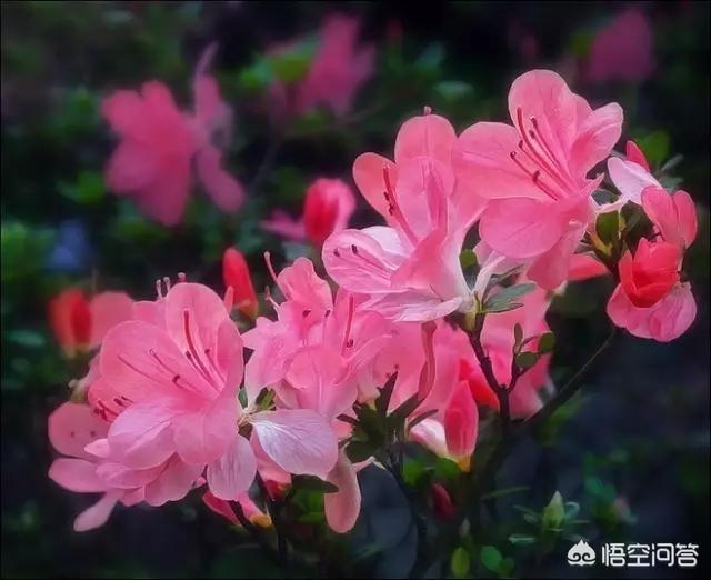杜小娟:你们有哪些令人毛骨悚然的反转故事？