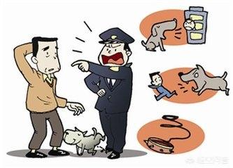 杜宾犬:饲养杜宾犬都有哪些优点和缺点？