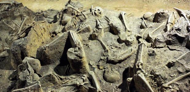 长平之战秦王只听范雎意见为何执意坑杀20万俘虏