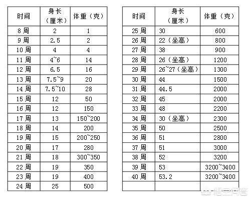 胎儿体重怎么计算,孕38周，怎么测胎儿体重？