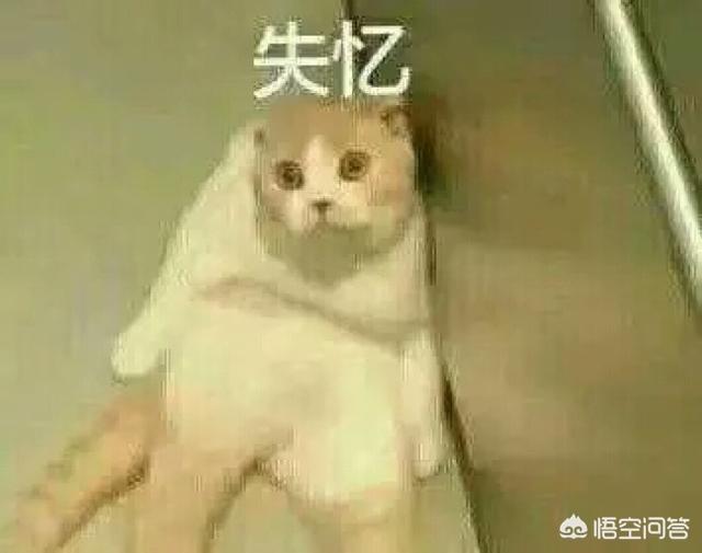 一个患有抑郁症的人如果突然失去所有记忆,抑郁症会不会消失？
