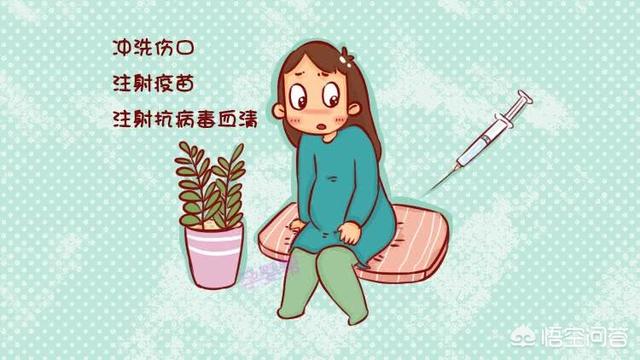 孕妇被狗狗咬了出血没打针:刚怀孕，被狗咬出血了，没打狂犬疫苗，会不会有事？
