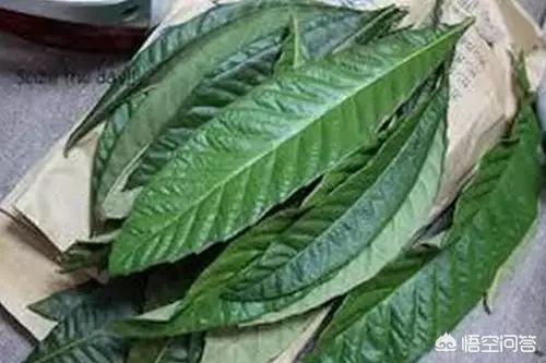 怎么预防青春痘(怎么预防青春痘?)