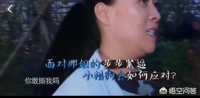 欧弟蒙面歌王:怎么看待综艺嘉宾输不起的现象？