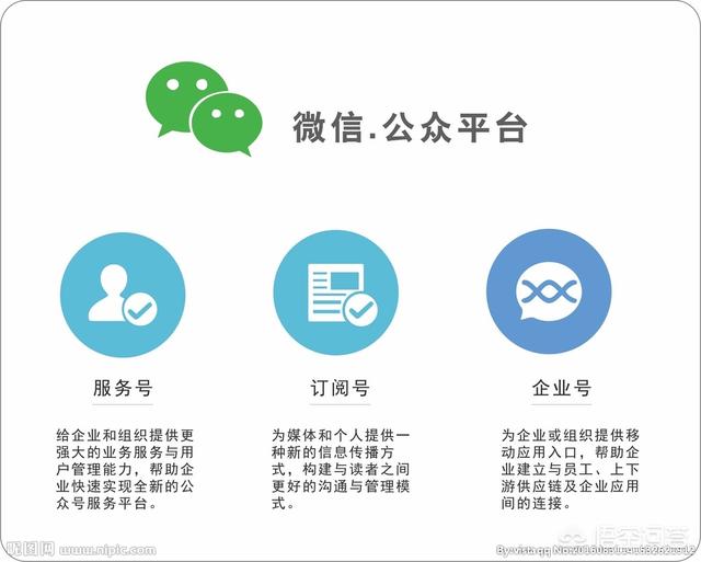 微信app属于原生开发吗