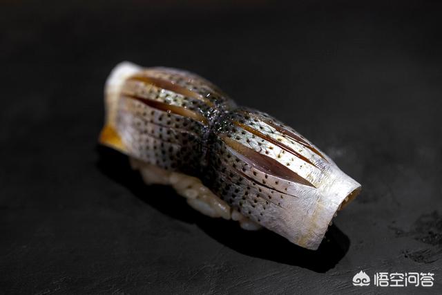 哪里能捕到斑鰶鱼:为什么很多小河里的野生鱼种都没有踪影了？