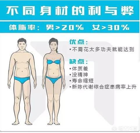 头条问答 体脂要到达多少才能露出腹肌 113个回答