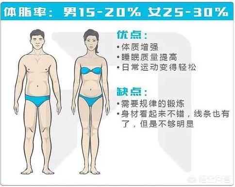 头条问答 体脂要到达多少才能露出腹肌 十月知行的回答 0赞