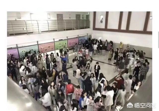 地震后的狗狗高清:遇到地震十二生肖会带什么逃跑？