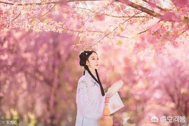寂寞宫廷春欲晚:“寂寞空庭春欲晚，梨花满地不开门”这两句诗好在哪里？
