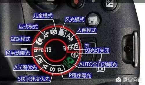 蓝脚鲣鸟 笨鸟:单反手动M档的优势是什么？