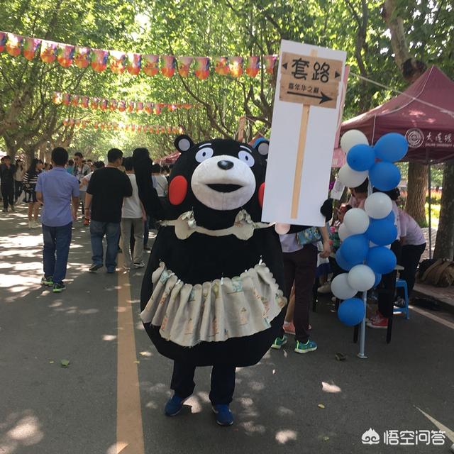 大连理工监考猫走红:在大连理工大学读书是怎样一种体验？