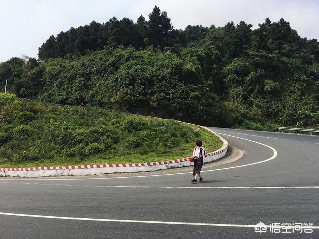 xishiroux:能从宠物上看出主人的性格吗？