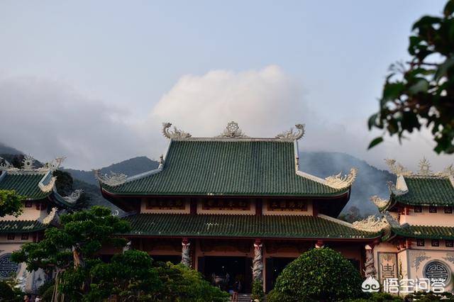 xishiroux:能从宠物上看出主人的性格吗？