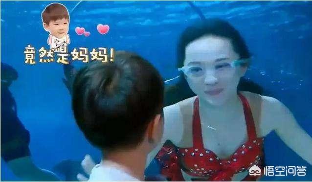 霍思燕家的猫:如果你在路上偶遇了霍思燕，你想说什么？