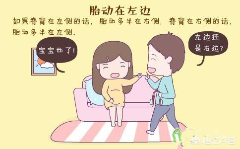 头条问答 胎儿一直在左侧动 可以以此分辨出来是男孩女孩吗 38个回答