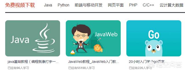 波斯猫论坛首页网站:编程在网上，有哪些网站可以自学？