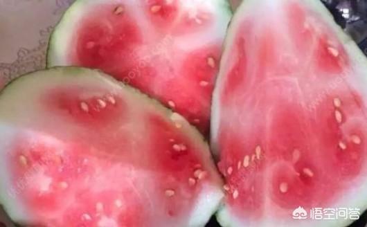戈壁西瓜真的不能吃吗，减肥期间吃西瓜会有什么影响