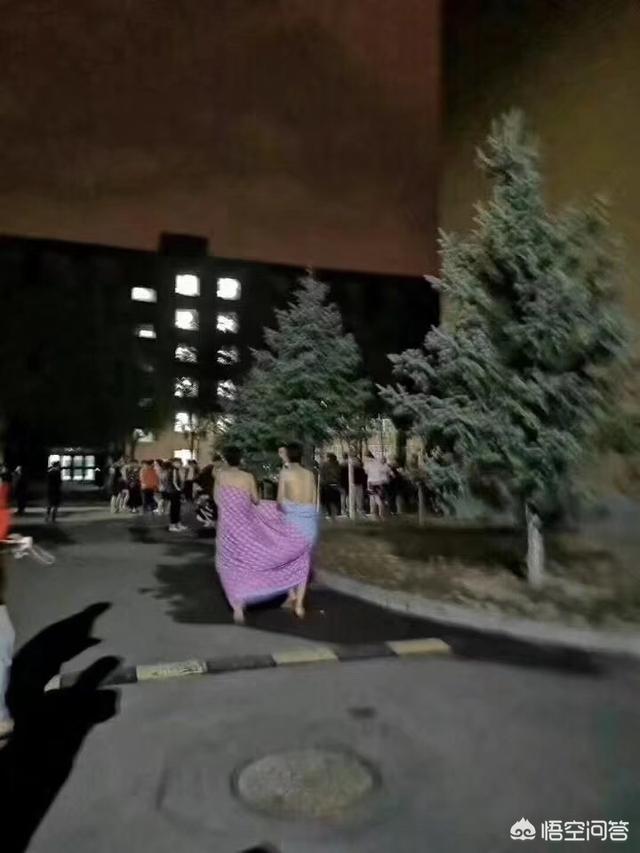 地震后的狗狗高清:遇到地震十二生肖会带什么逃跑？