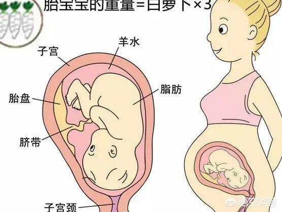 头条问答 怀孕34周 是怀孕的第几个月 40个回答