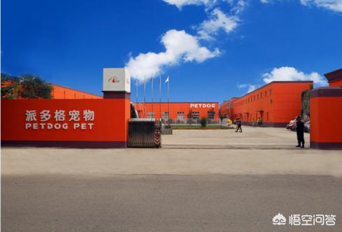宠物美容教程下载:想学狗狗美容如何找宠物美容学校？