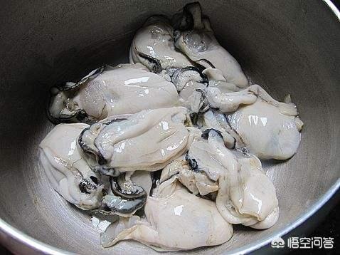 牡蛎与生蚝的区别？