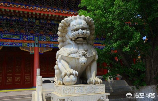 藏獒信息网至尊藏獒怪狮子:古代中国说的狮子是不是藏獒？