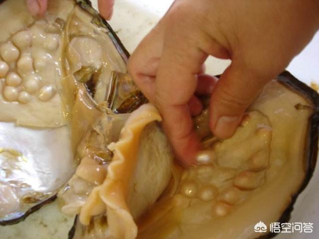 女子吃海螺吃出稀世珍宝，海螺怎么做好吃还是煮熟了沾着吃