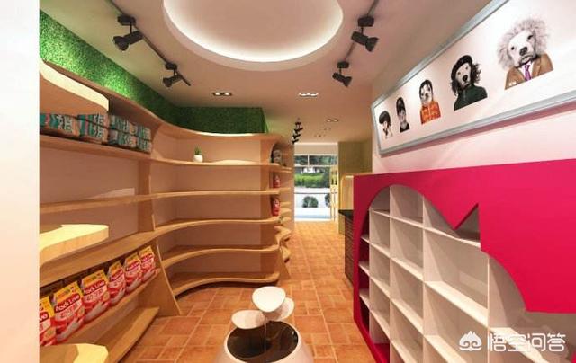 沈阳宠物用品团购:在沈阳哪个区开设宠物店比较适合？
