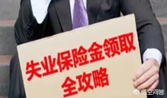 失业金是一生只能领取24个月的，还是每次最多领取24个月的？插图15