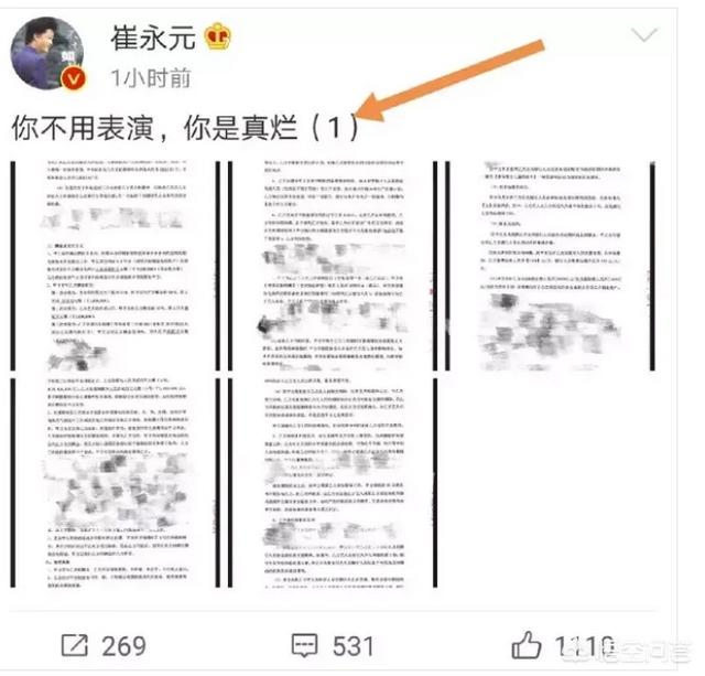 章子怡简历:华人全能影视明星有哪些，都有什么成就？