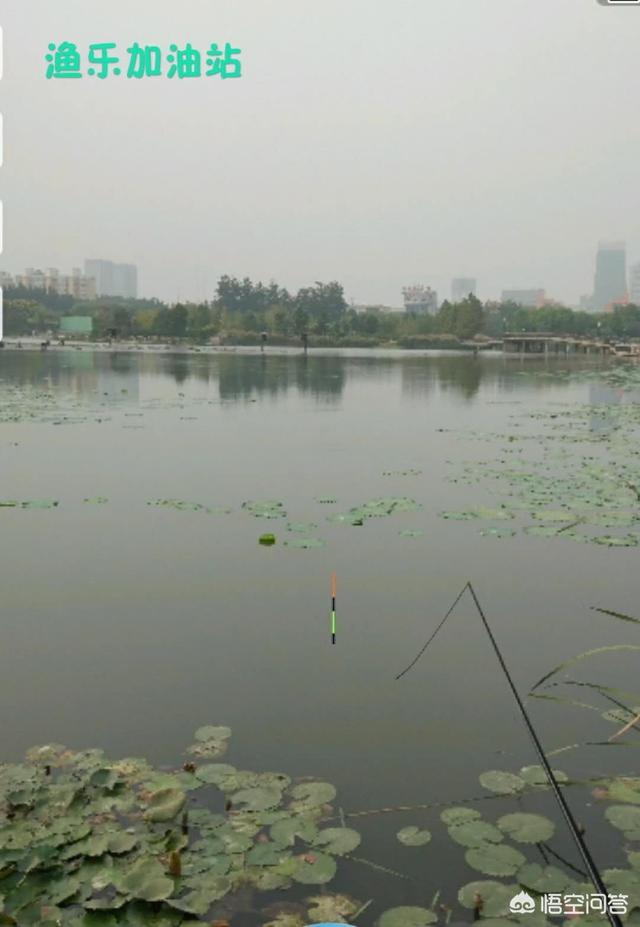 红虫图片:去野外钓鱼，全套装备都有些什么，资深钓友给介绍一下可以吗？