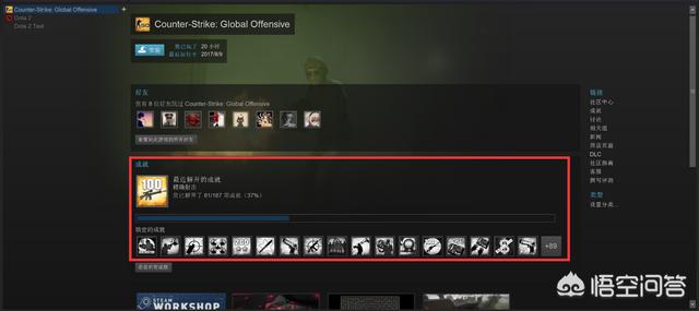 csgo国服需要steam吗？