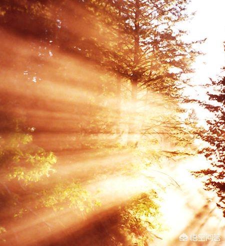 遇到无知且无畏的领导该怎么办？