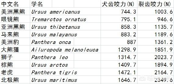 大熊猫咬人吗:熊猫没有攻击力，为什么没有灭绝？