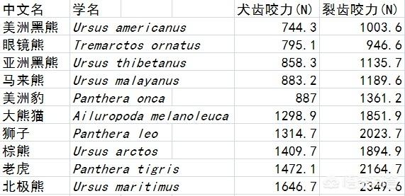 野生大熊猫咬人吗:加上金钱豹，卧龙保护区已有4种顶级猎食者了，会威胁到熊猫吗？