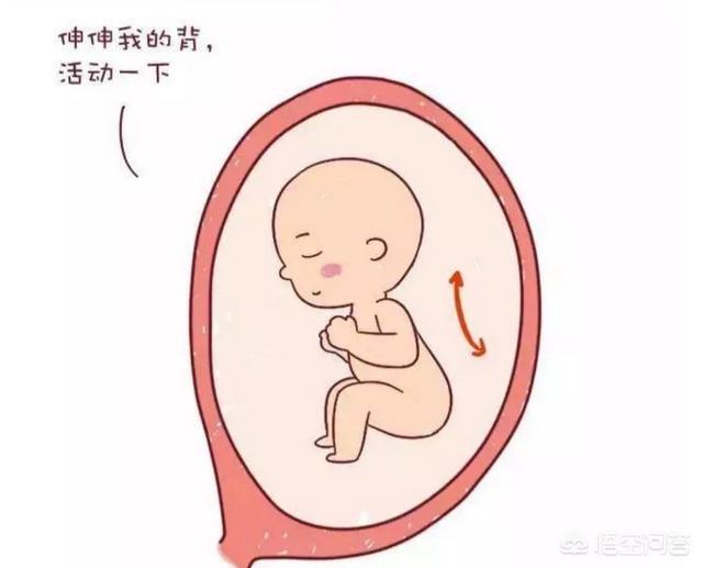 头条问答 怀孕17周感觉不到胎动 这样正常吗 你怎么看 15个回答