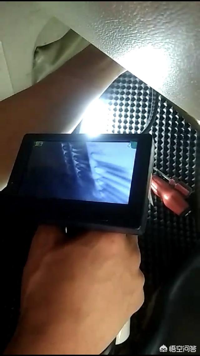 如何去除汽车异味(怎样才能去除车内异味)