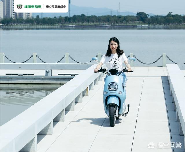 2018年电动车排行榜上哪个牌子好？
