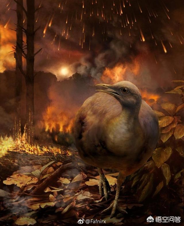 鸟的祖先图片:古生物学家推测鸟类的起源是什么？